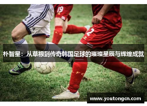 朴智星：从草根到传奇韩国足球的璀璨星辰与辉煌成就